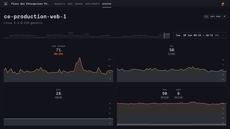 RoRvsWild servers monitoring